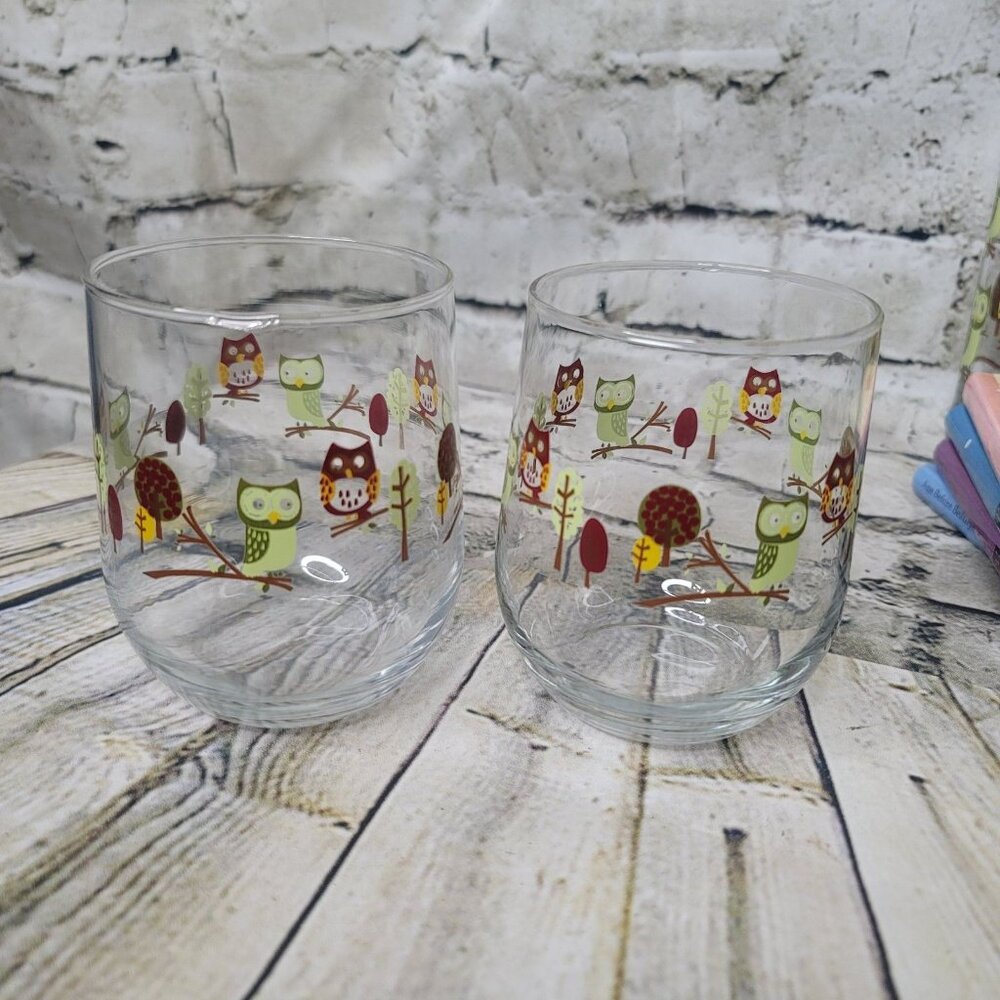Libbey Retro Owls Lowball Glasses Tumblers Set Of 2 Vintage